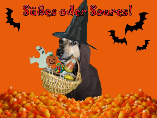 Halloween 2012 A Listly List