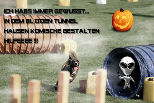 Halloween 2012 A Listly List