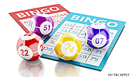 In Play Gambling Guide - Best New UK Bingo Sites