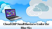 Cloud ERP Small Business Under the Blue Sky