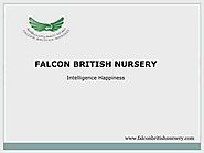 Get Admission Best nursery schools in Abu Dhabi - Falcon British Nursery
