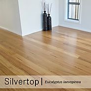 Silvertop - Solid Hardwood Timber Floor