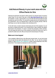 Add Natural Beauty in your work area with the Office Plants for Hire by Luwasa Indoor Plant Hire - Issuu