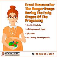 Exact Reasons For The Hunger Pangs During The Early Stages Of The Pregnancy