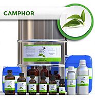 Shop Camphor Essential Natural Oil In USA