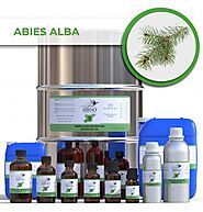 Buy Bulk Abies Alba Essential Oil in USA - Essential Natural Oils