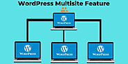 7 Exclusive Reasons to Go for WordPress Multisite Feature and Here’s How?
