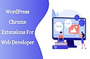 Best WordPress Chrome Extensions for Web Developers - WebPrecious