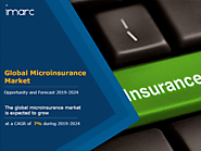 Microinsurance Market Size, Share, Industry Analysis, Growth and Forecast 2019-2024