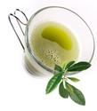 Seraj All Natural and Organic Green Tea Cream