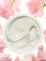 Best All Natural Wrinkle Creams 2014 - Lists and Reviews of Effective Products
