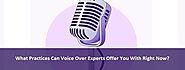 How Voice Over Services is Profitable for Your Business?