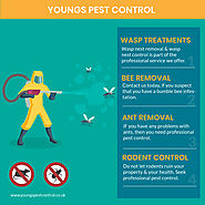 Professional 24 Hours Pest Control Services