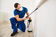 Bed Bug Exterminator Cost in Abram - Youngs Pest Control