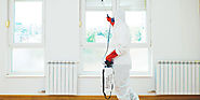 Tired of Dealing With Pest Issue?Here is How to Get Rid of Them!