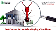 Pest Control Advice When Buying a New Home – Get Pest Control