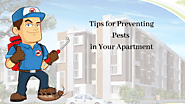 Tips for Preventing Pests in Your Apartment - Get Pest Control