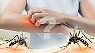 Reasons Why Mosquitoes Bite Some People More than Others - Get Pest Control