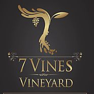 7 Vines Vineyard Dellwood