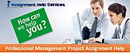 Professional Management Project Assignment Help