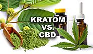 What Is The Difference Between CBD and Kratom?