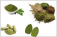 Top Benefits of Using Kratom Powder on a Regular Basis