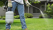 How long do we need to stay out of the house after professional bug bombing and spraying?
