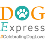 Dog Express | Social Media Manager from Sahibzada Ajit Singh Nagar, India - Trepup