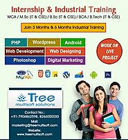 Internship in Dehradun, Industrial Training in Dehradun