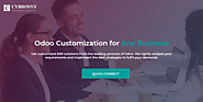 Odoo Customization for Any Business Any Industry Global Clients