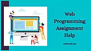 Reliable Web Programming Assignment Help Service From Experts