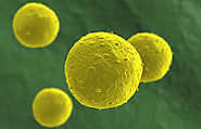 FDA Warns About Stem Cell Therapies | FDA
