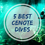 The Best Cenotes to Dive in Tulum - Cenote Diving Caves & Caverns