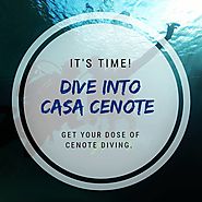 CASA CENOTE “Discovering the Mangroves from bellow”