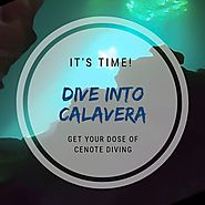 Cenote Calavera - Temple of Doom : Best Cenote Dives
