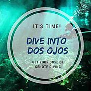 Dos Ojos Cenote Diving : Best Cenote Dives
