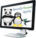 We offers SEO services in india | Cheap SEO india