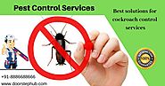 Website at https://www.doorstephub.com/pest-control-services/Hyderabad