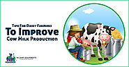 Tips For Dairy Farmers To improve Cow Milk Production