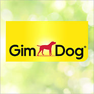 Hund / Gimdog