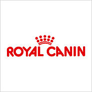 Katze / Royal Canin