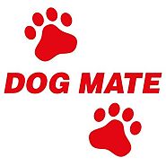 Hund / Dog Mate
