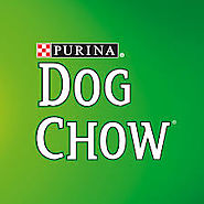 Dog Chow / Purina