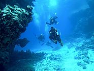 Beginner’s Guide To Scuba Diving Courses & Certification