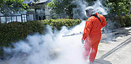 In Which Situation Should I Contact Pest Control Company? A Complete Guideline
