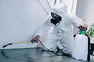 Pest control can keep bugs and rodents out of your property