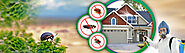 How To Control Flies Like Pro Pest Control Melbourne Agency | Eco Safe Pest Control Melbourne