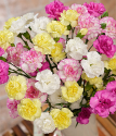 Spray Cascade | Spray Carnations Bouquet | Bunches.co.uk