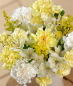 Sunshine Bouquet | Yellow And White Flowers | Carnations | Bunches.co.uk