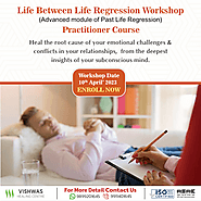 Life Between Life Regression Training